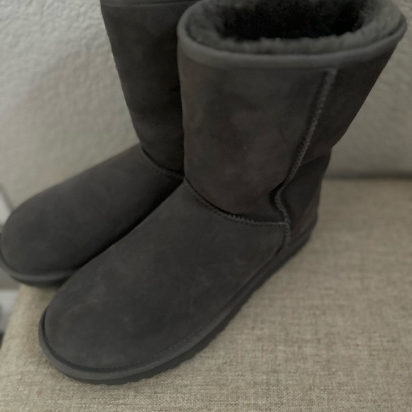 Grey Classic Short Suggs - Picture 10 of 11